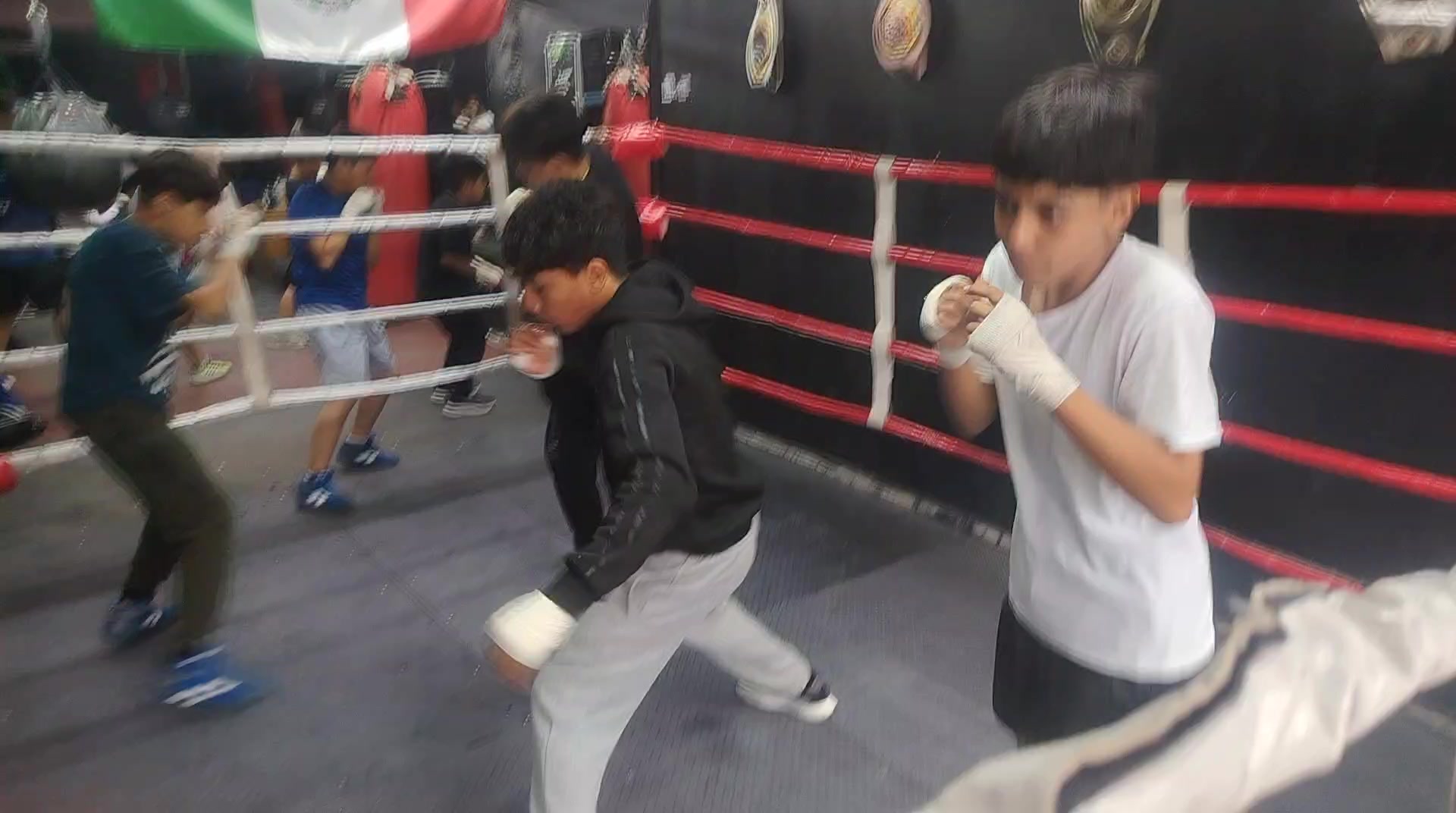 @Carreras Boxing Master