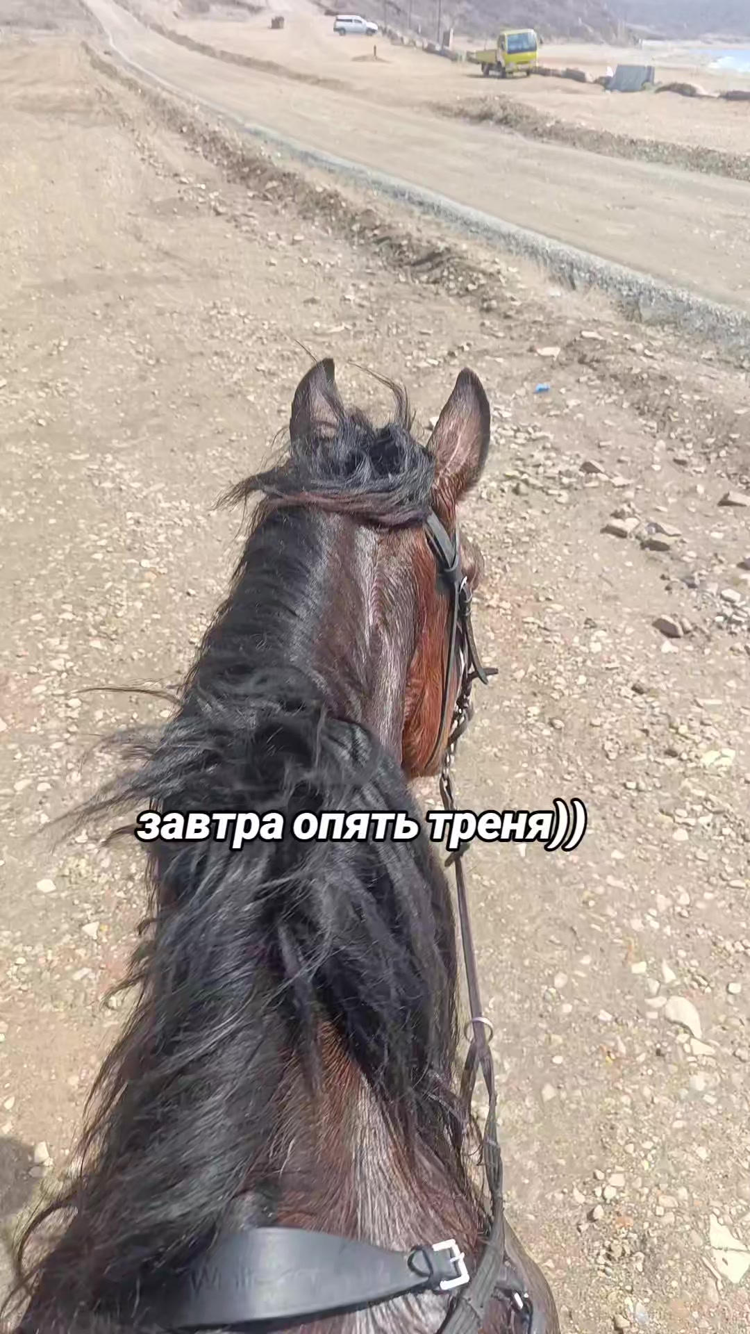 @🐴🤎