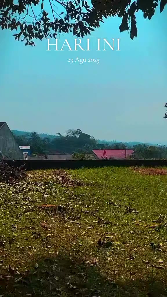 @D.kingfarm