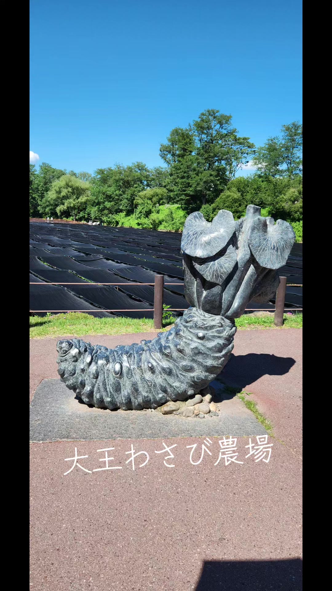 @🧶Ayaka. . .991