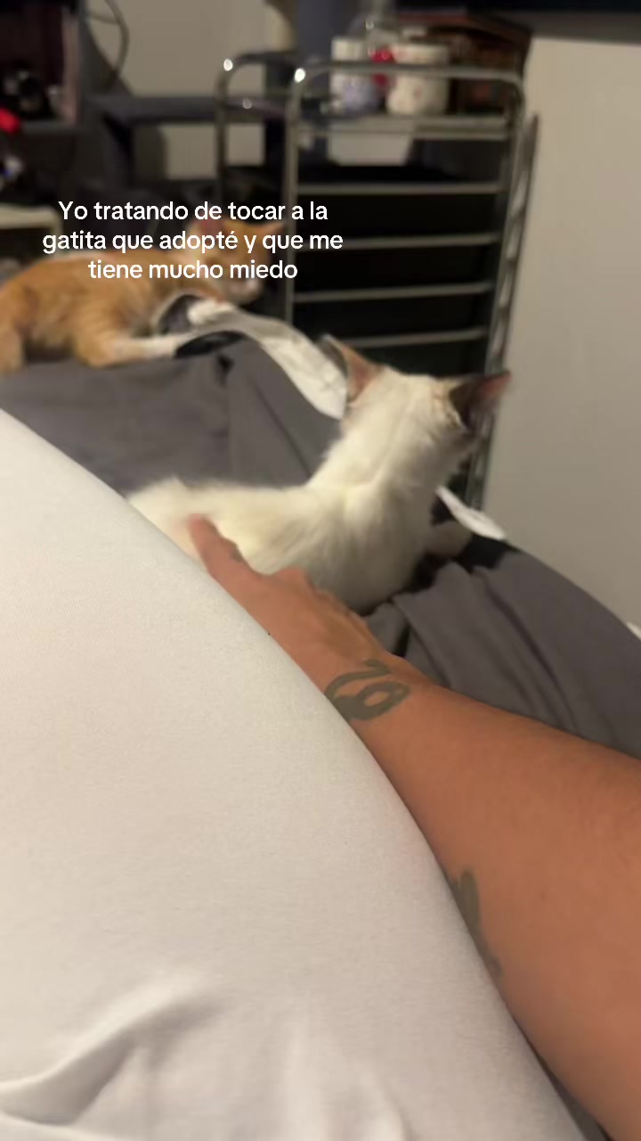 @Linda Miaw