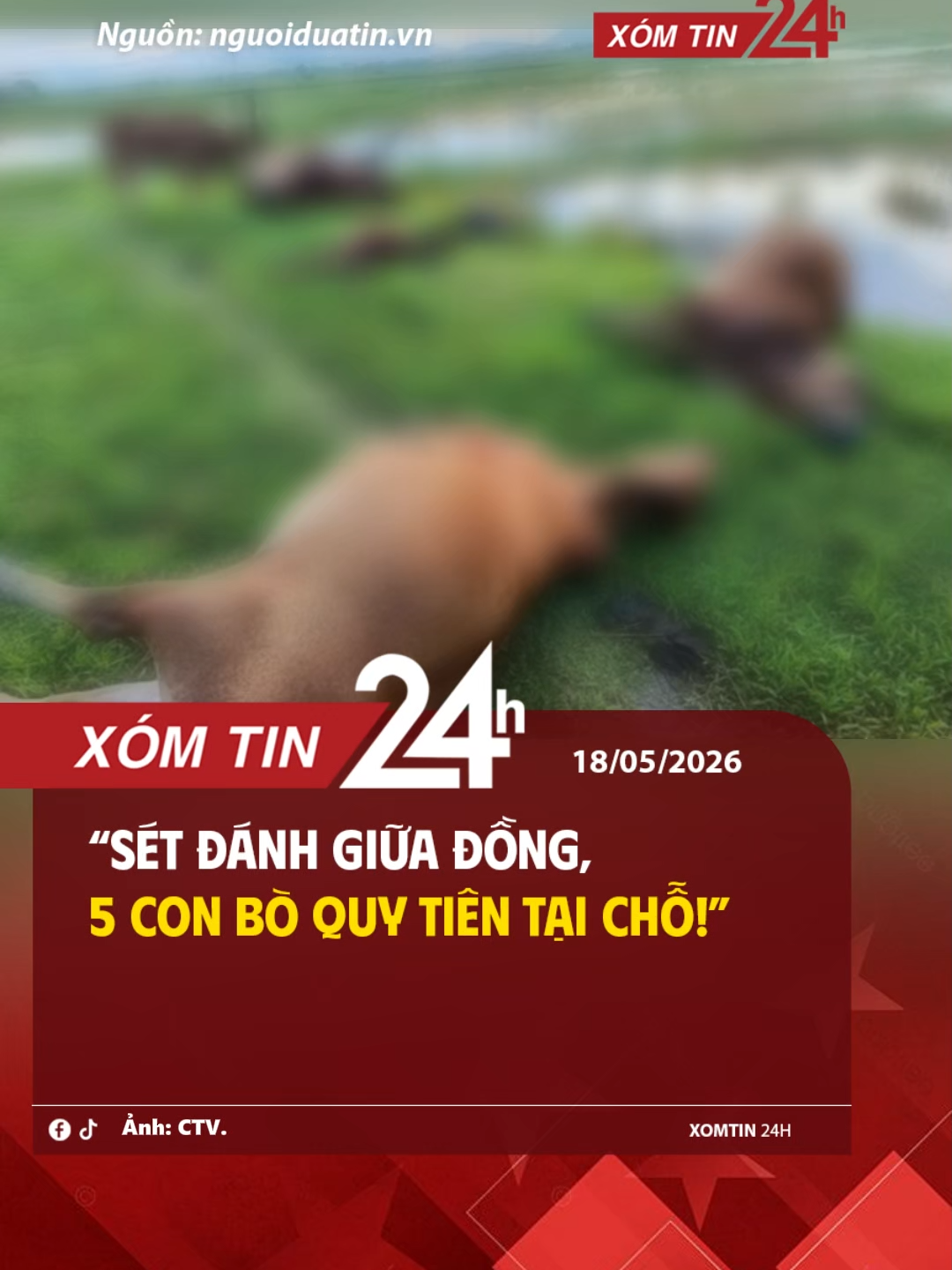 @X&oacute;m Tin 24h