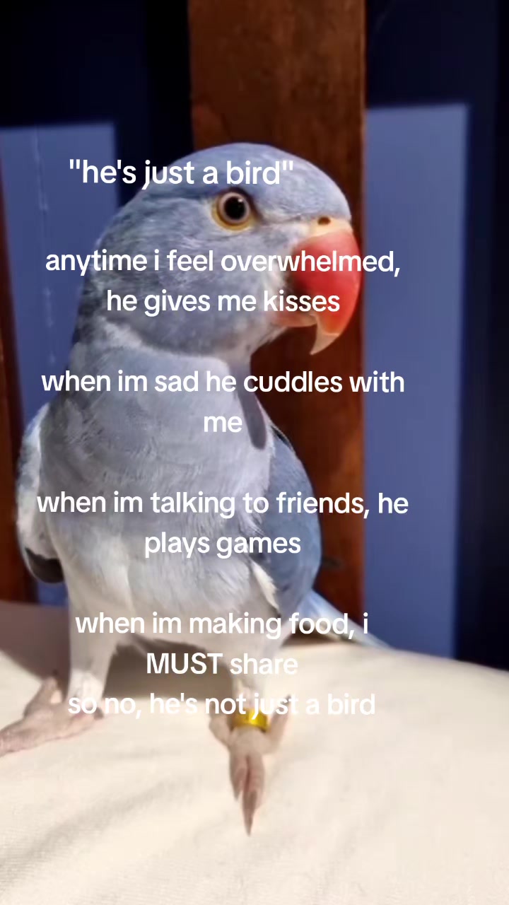 @Arliah