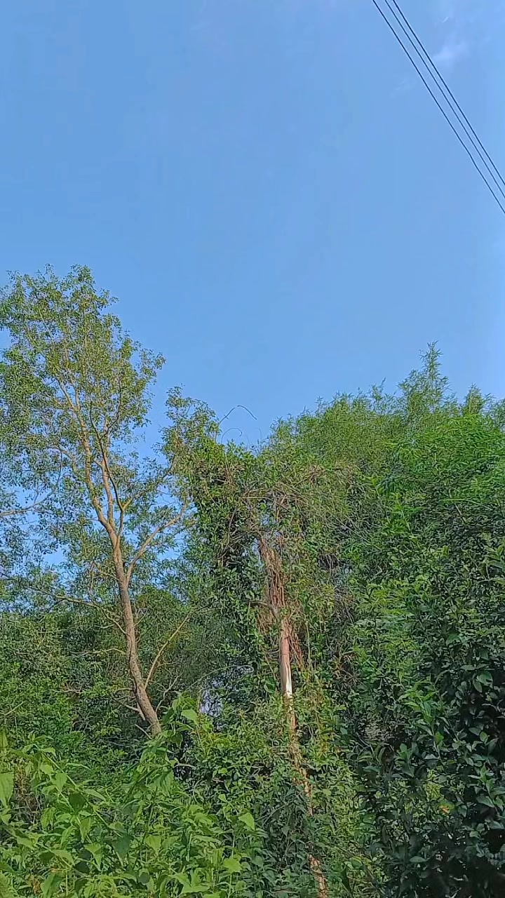 @Sabinapaudel123❤️❤️