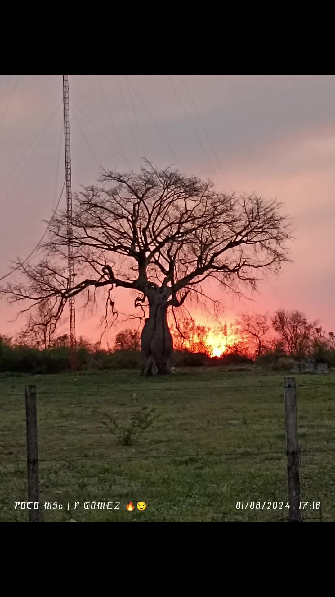 @Gómez#19