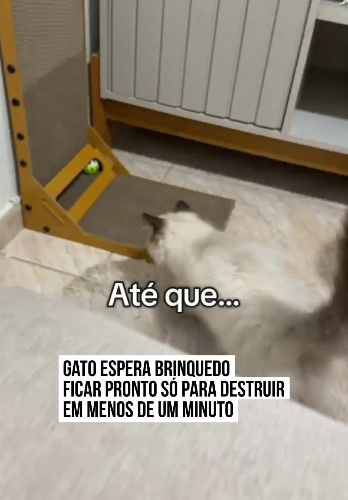 @Metrópoles Oficial