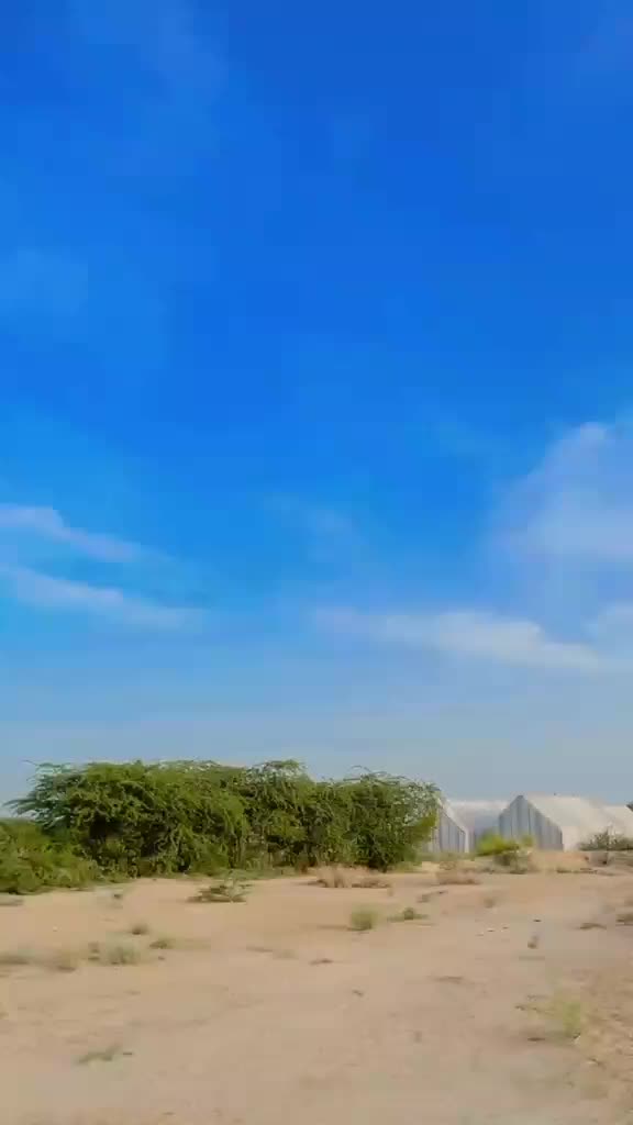 @AسAD جoyia 007