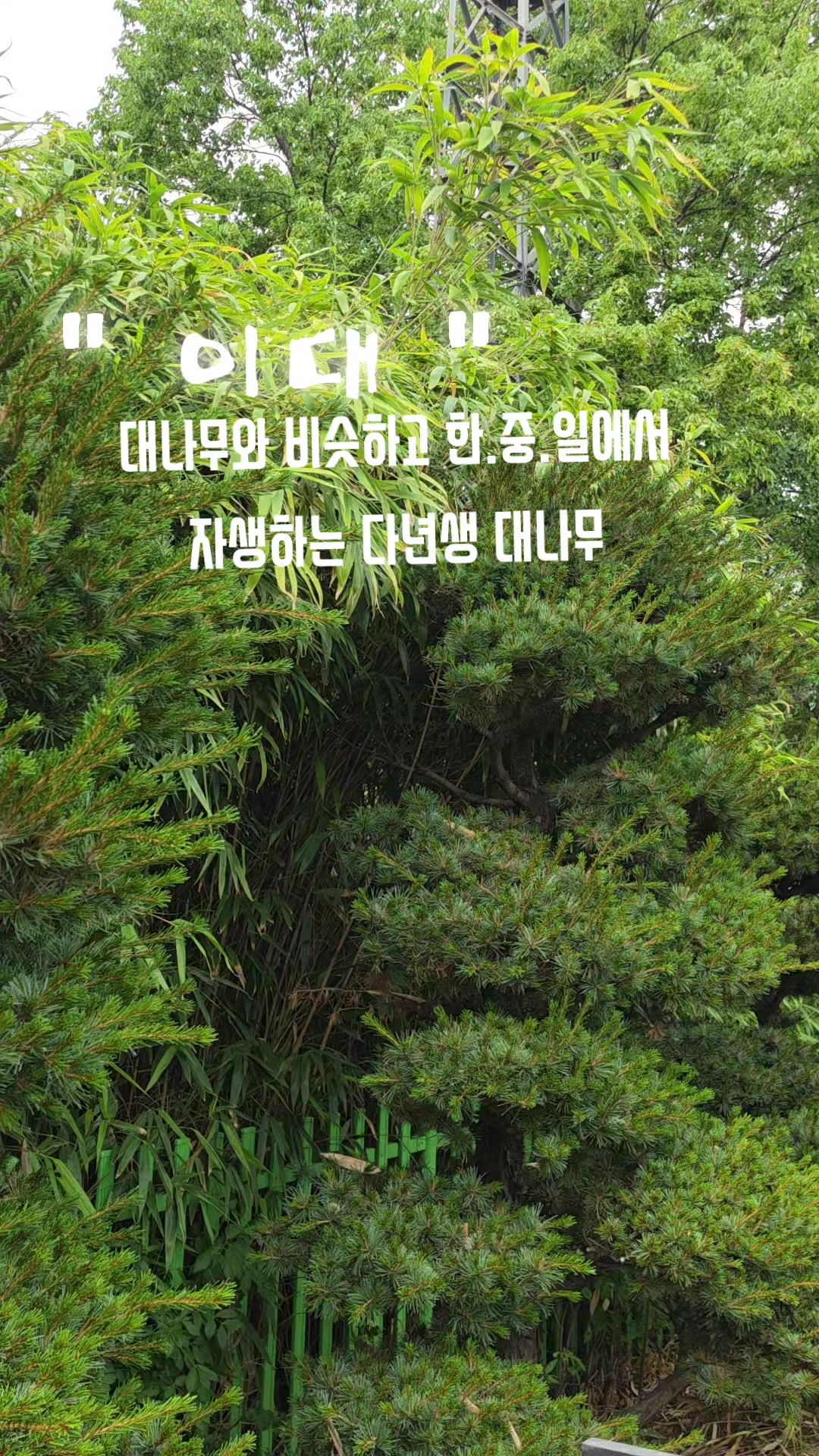 @김동욱802