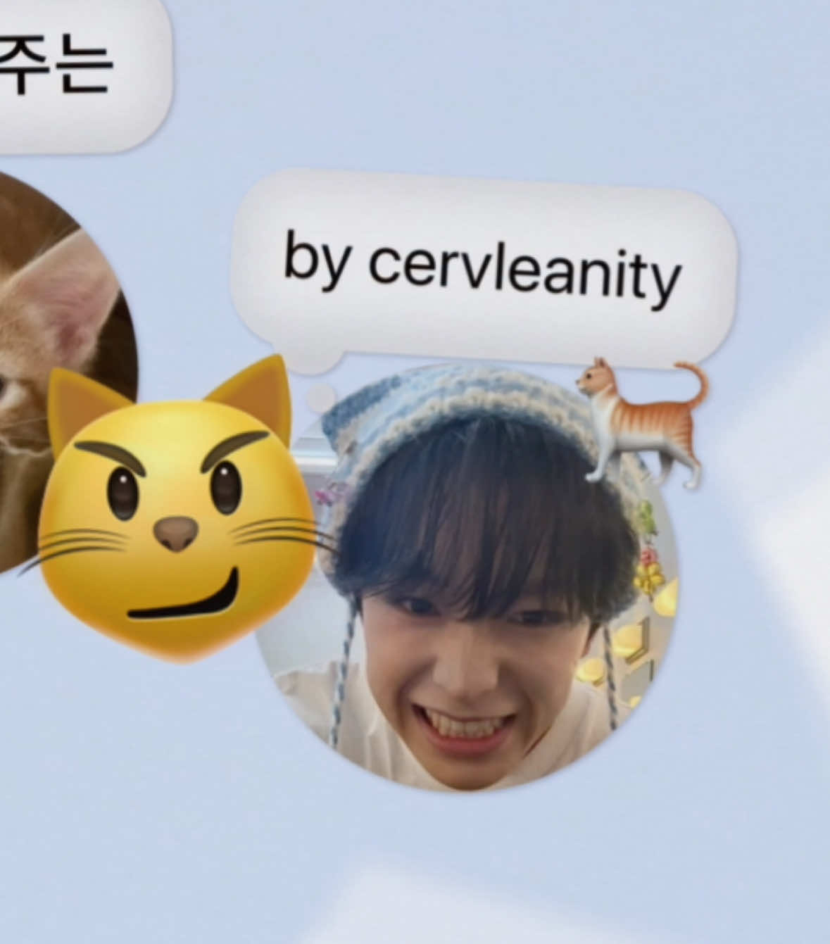 @cervleanity 👾
