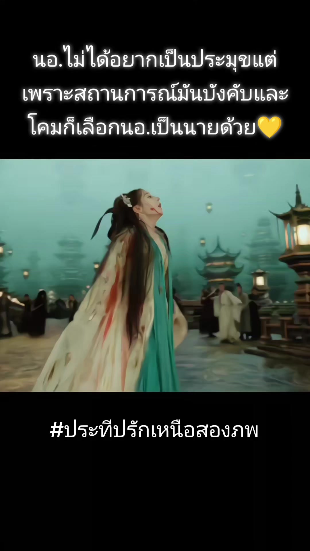 @mingyue_559999🌿🌿