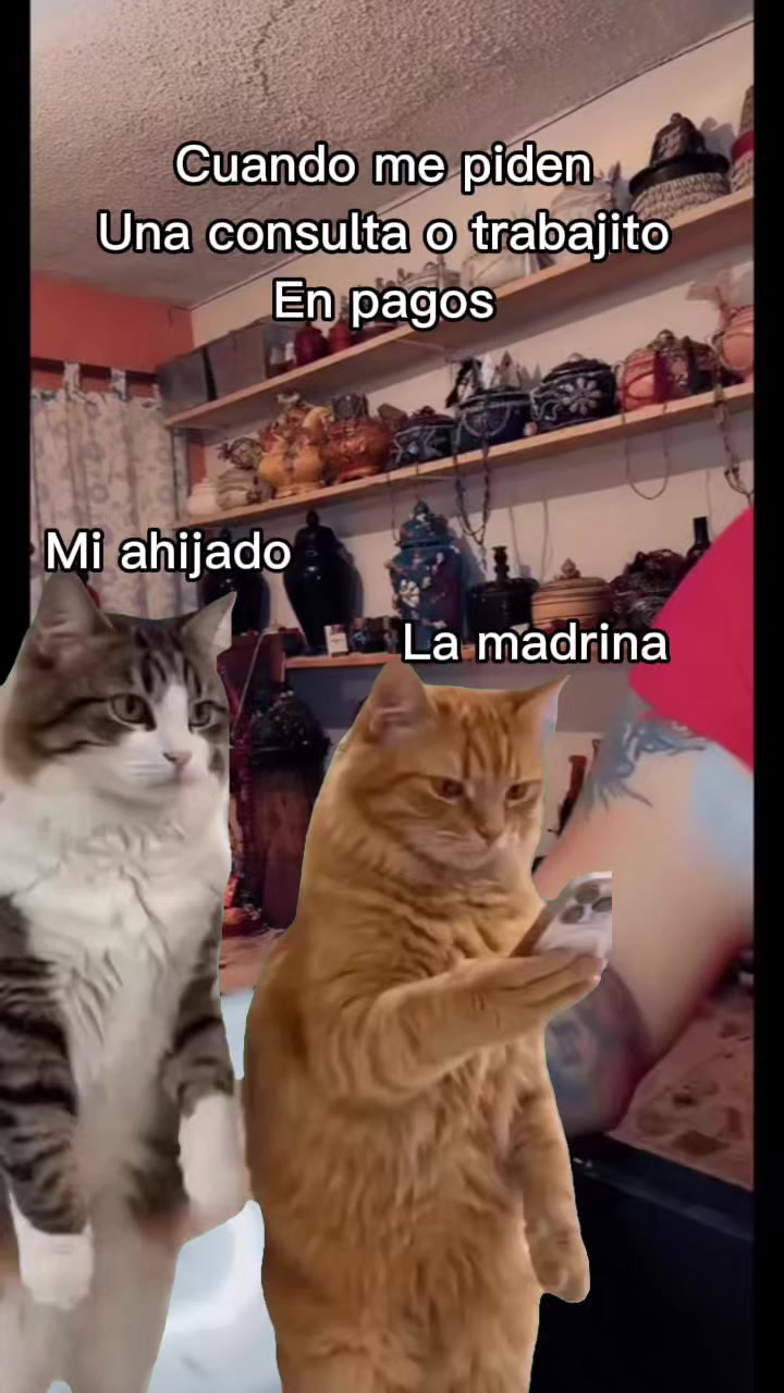 @sandyeleguacita