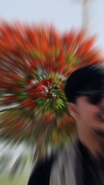 @𝕄𝕣_ℱᎯмι_☠ꨄ