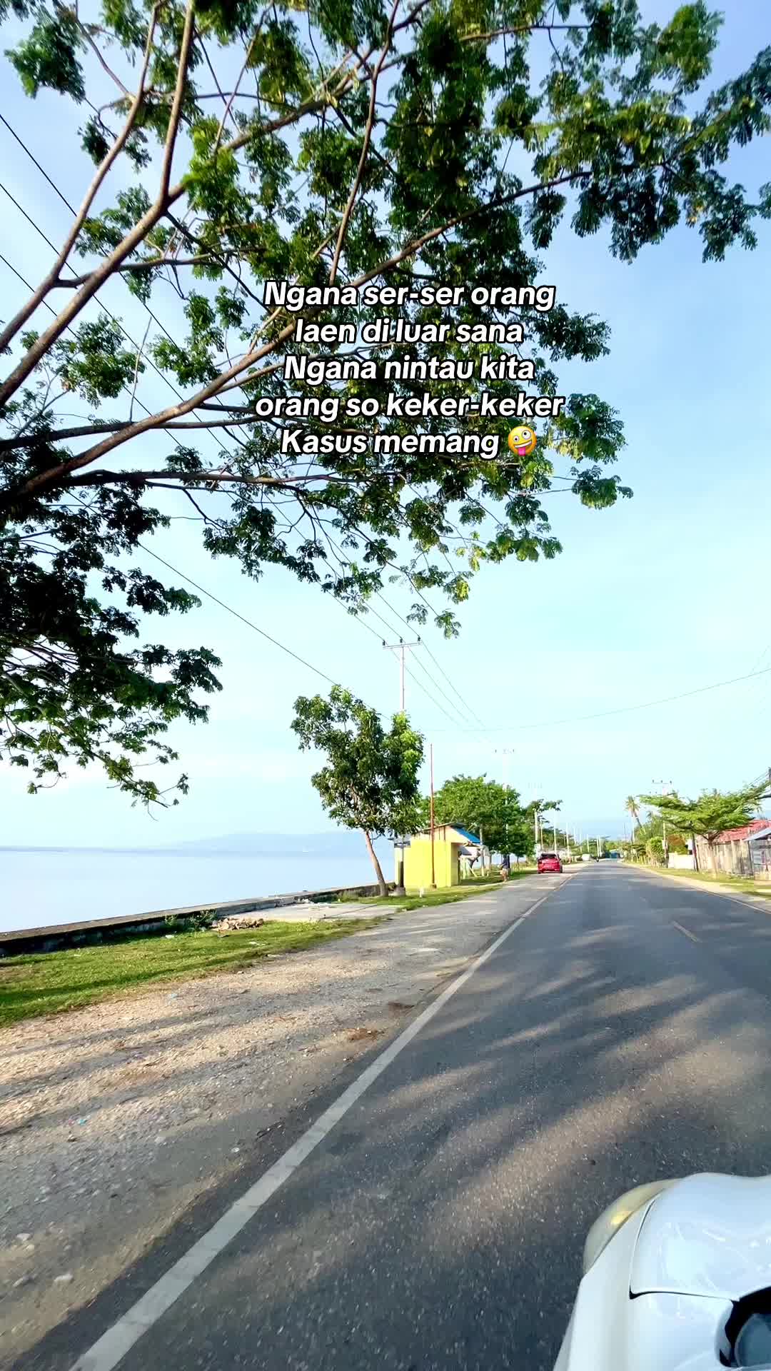 @Nini Day 💛
