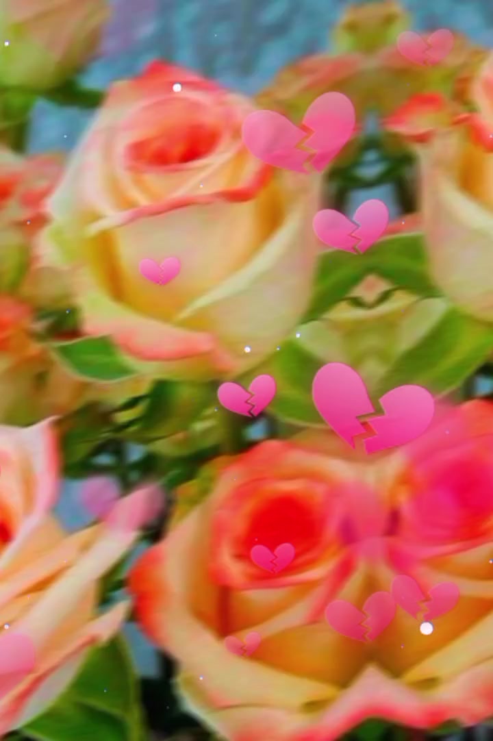 @@sunita