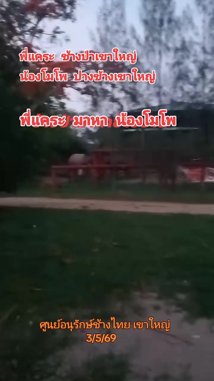 @Bua