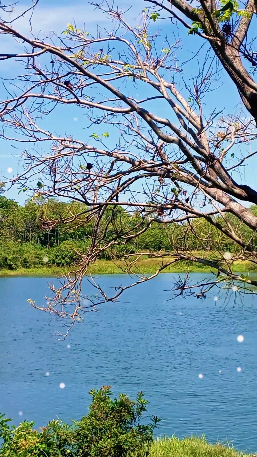 @Kiruba Kiri