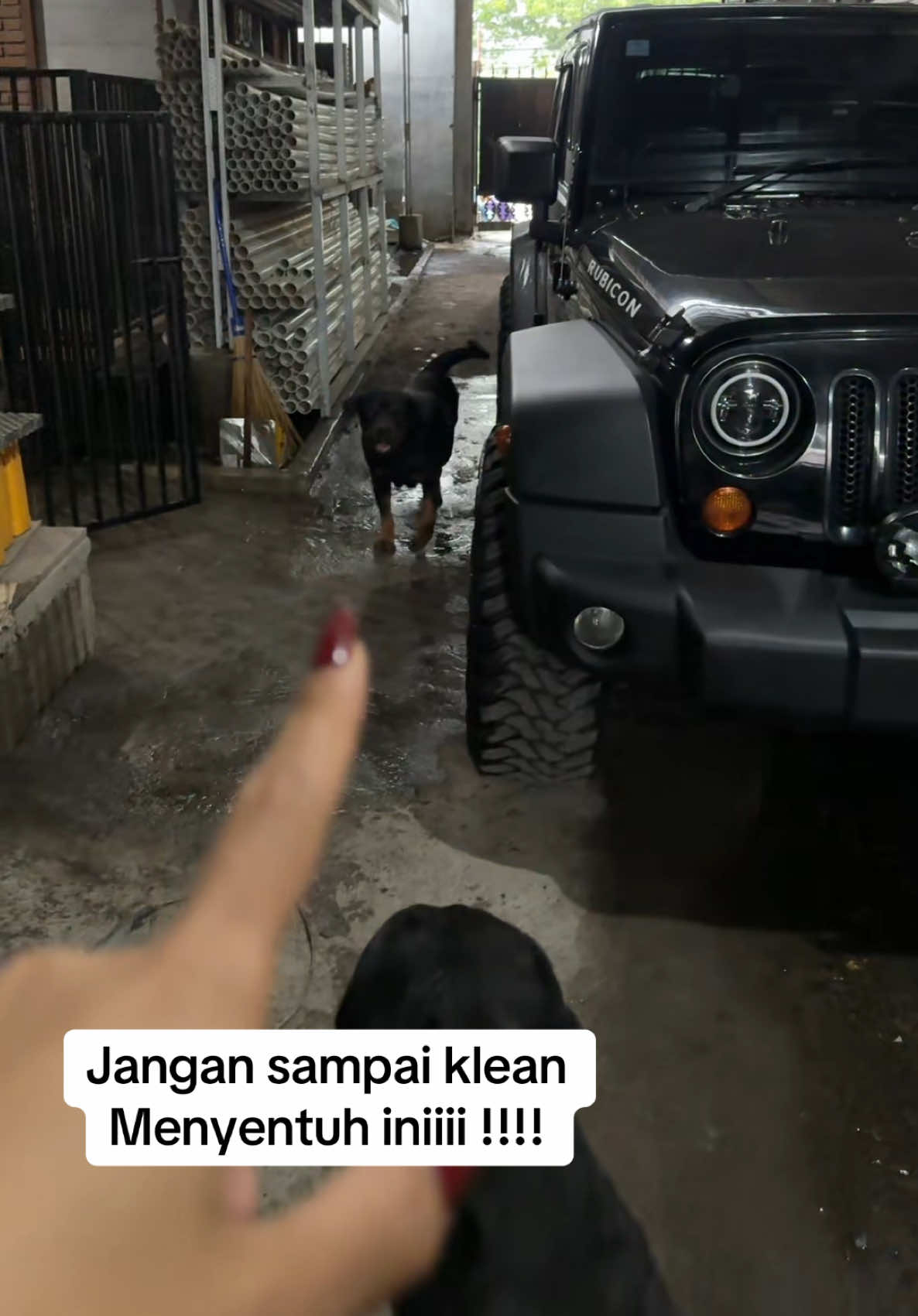 @Mamak Ghana