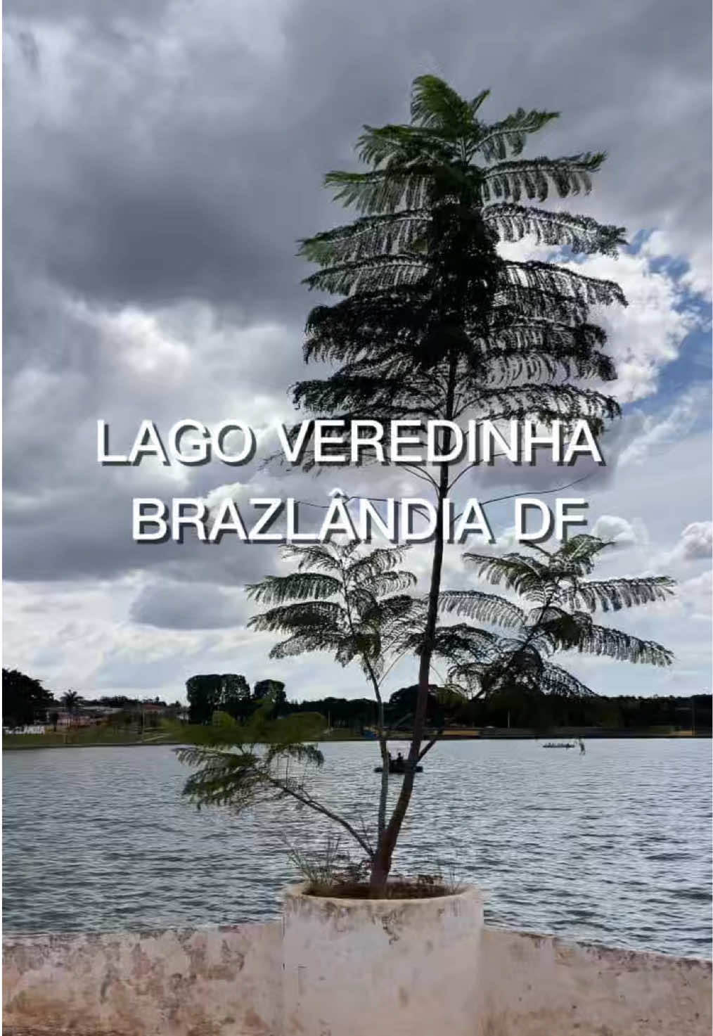 @JDM A NATUREZA EM AÇÃO