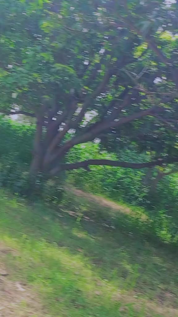 @ایاز