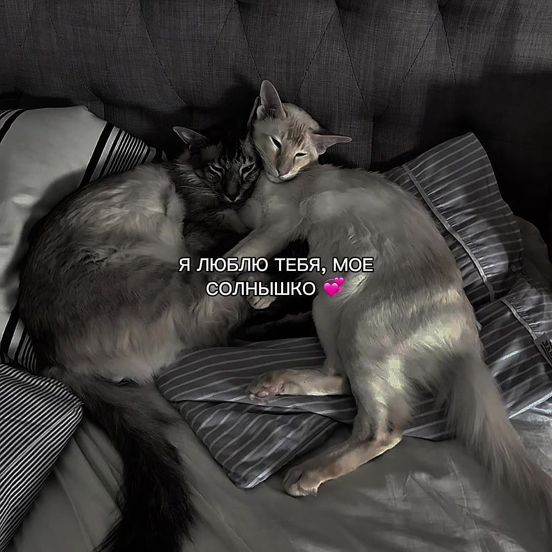 @ХХИКА