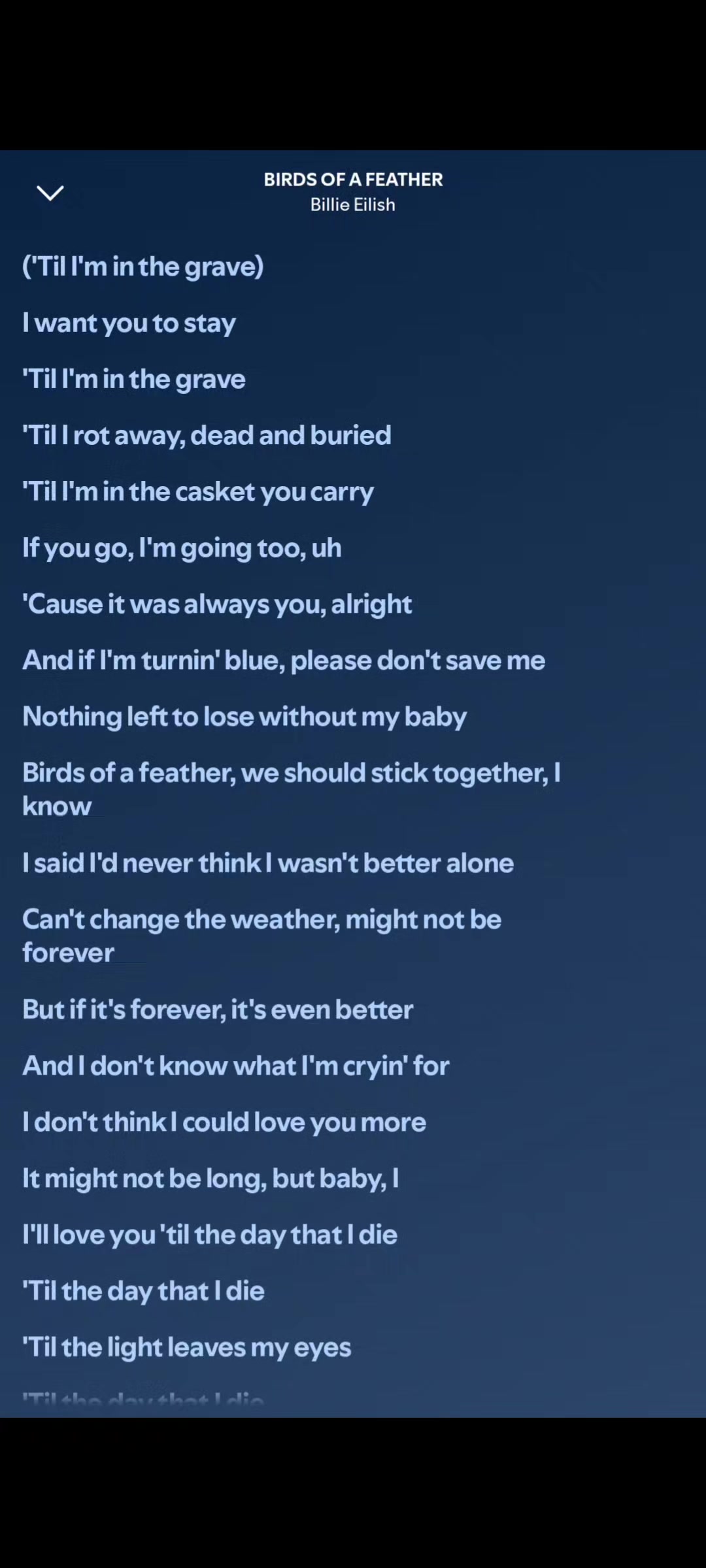 @daily song by nayla
