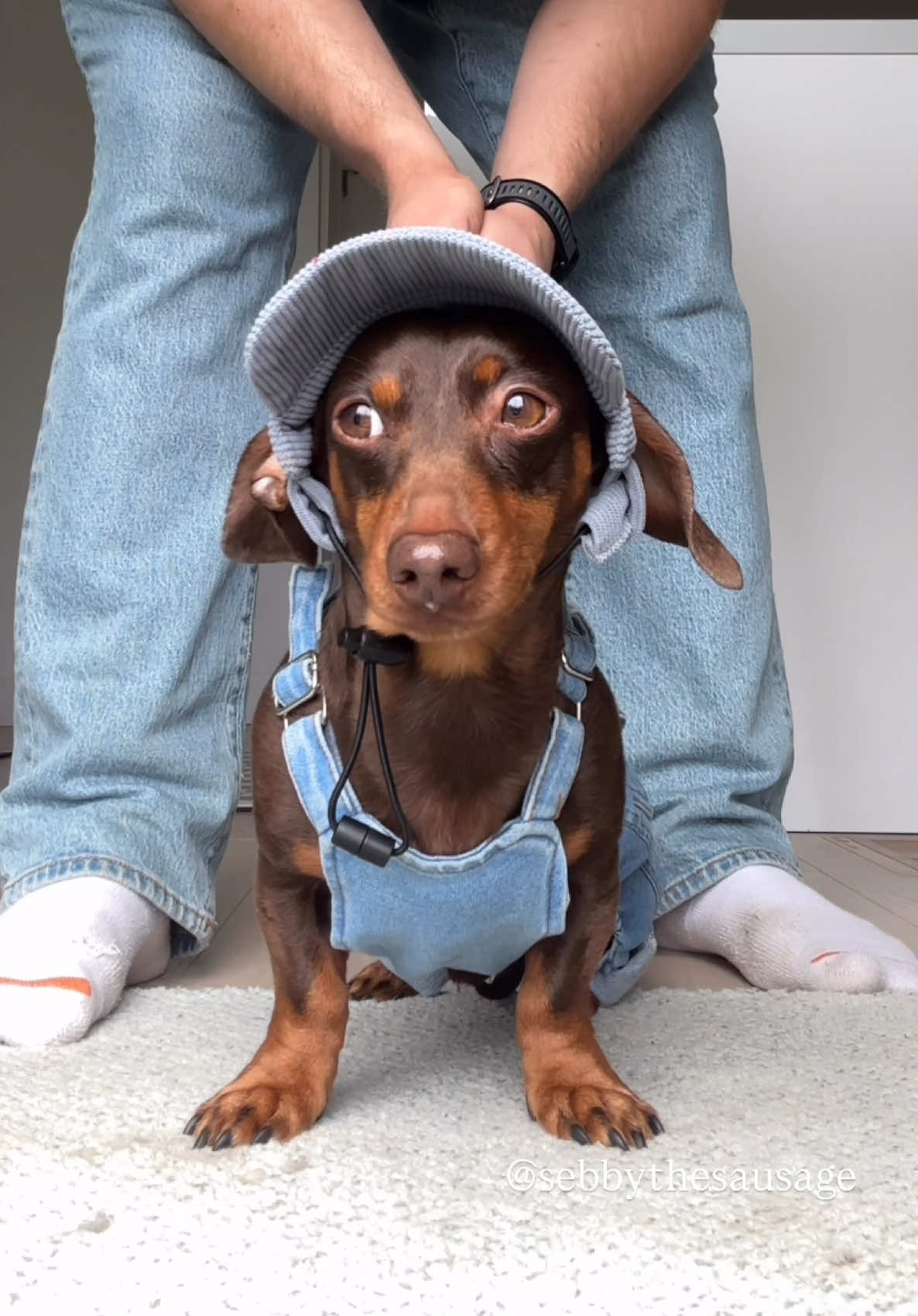 @sebbythesausage
