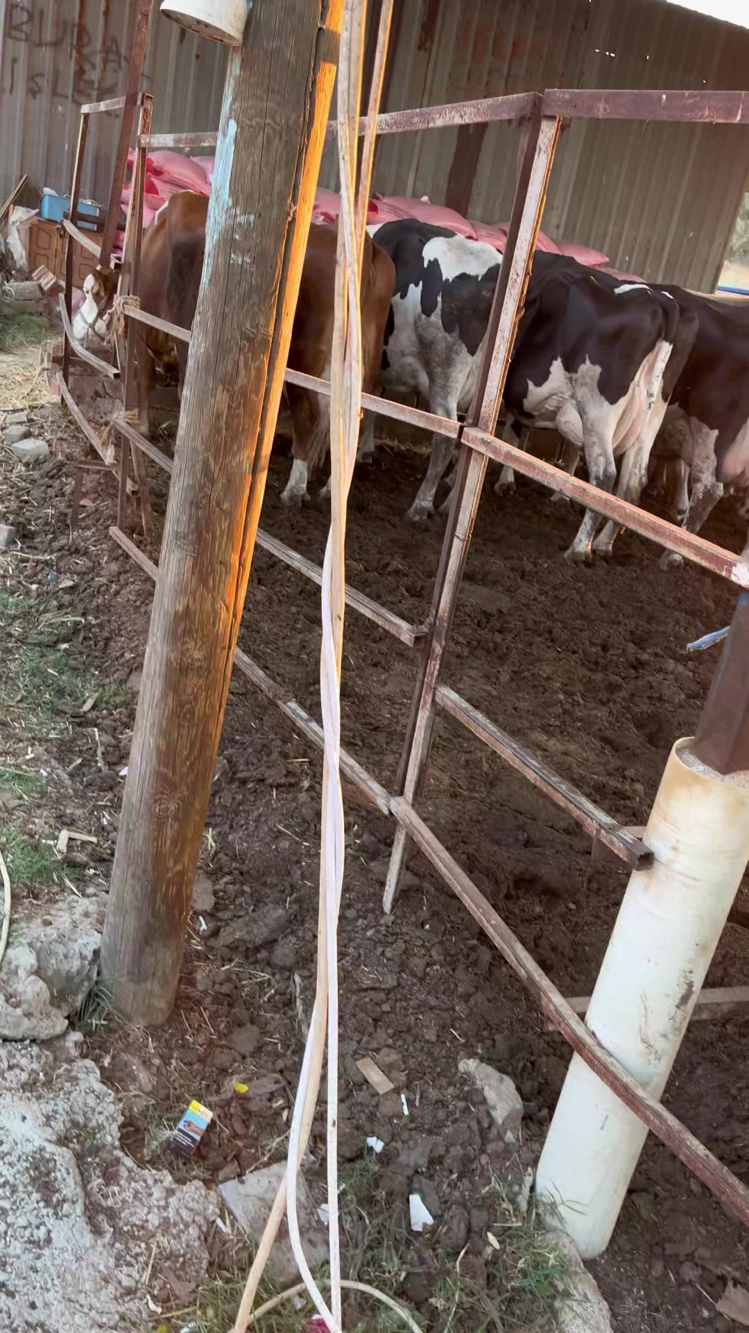 @Burak İşlek