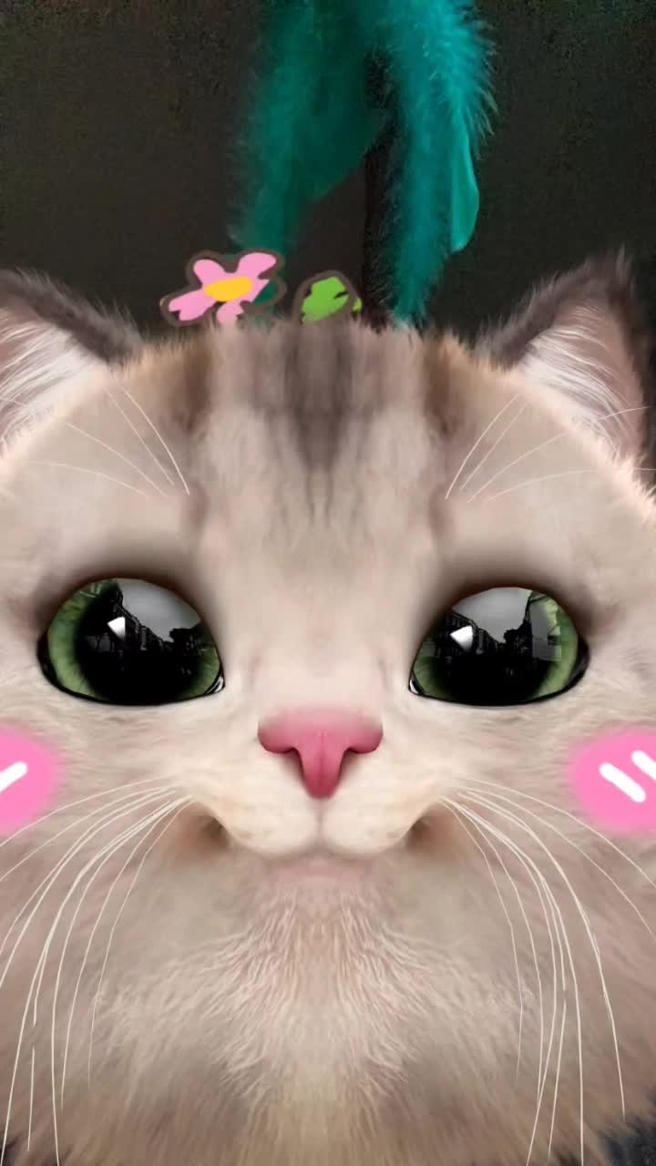 @chapischapis