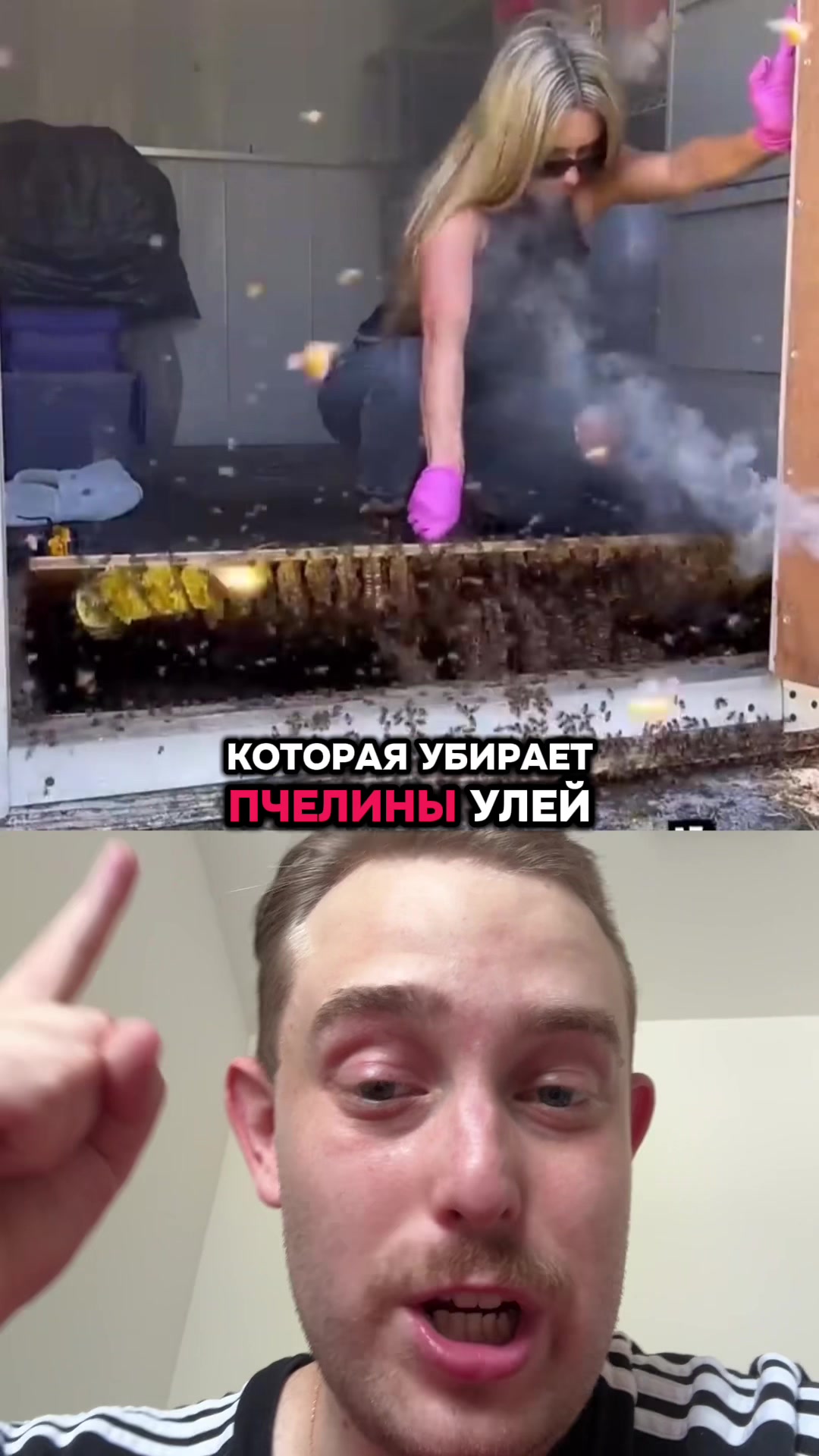 @Макс На Базе🤪