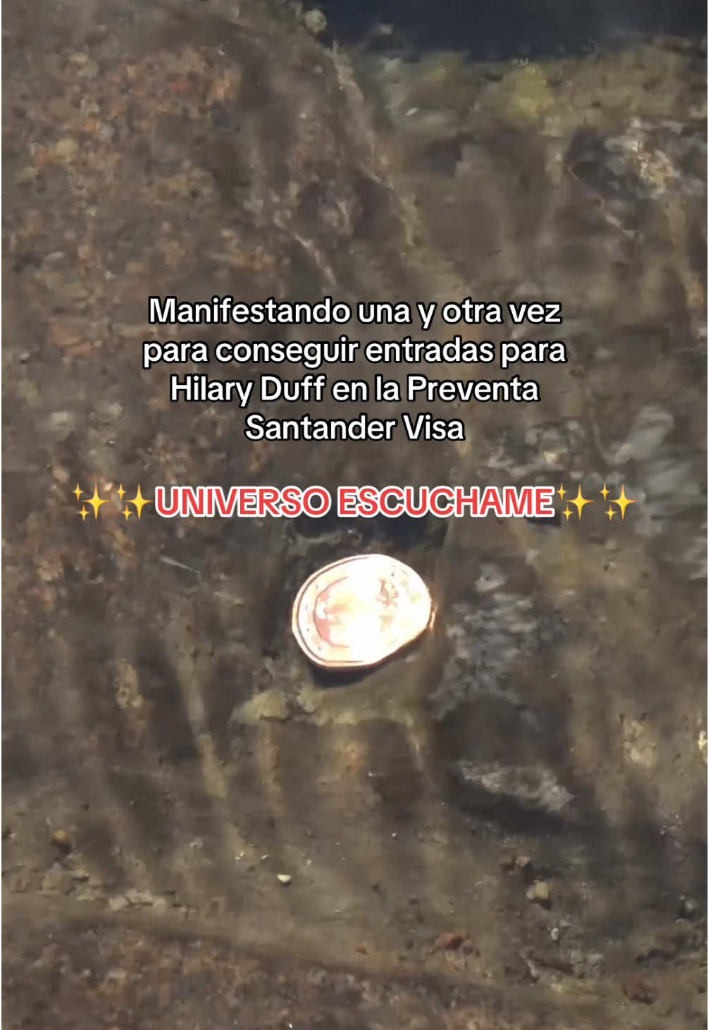 @Santander Argentina