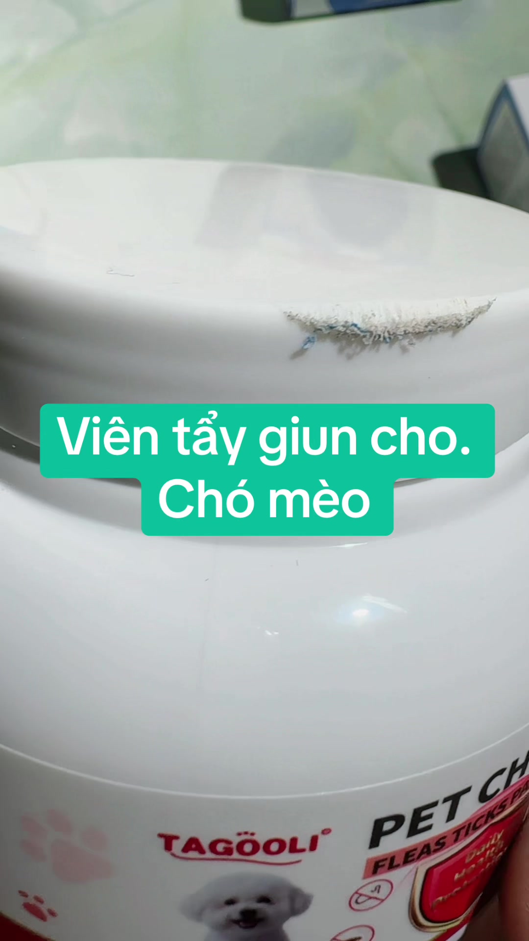 @Bi-Bo 678
