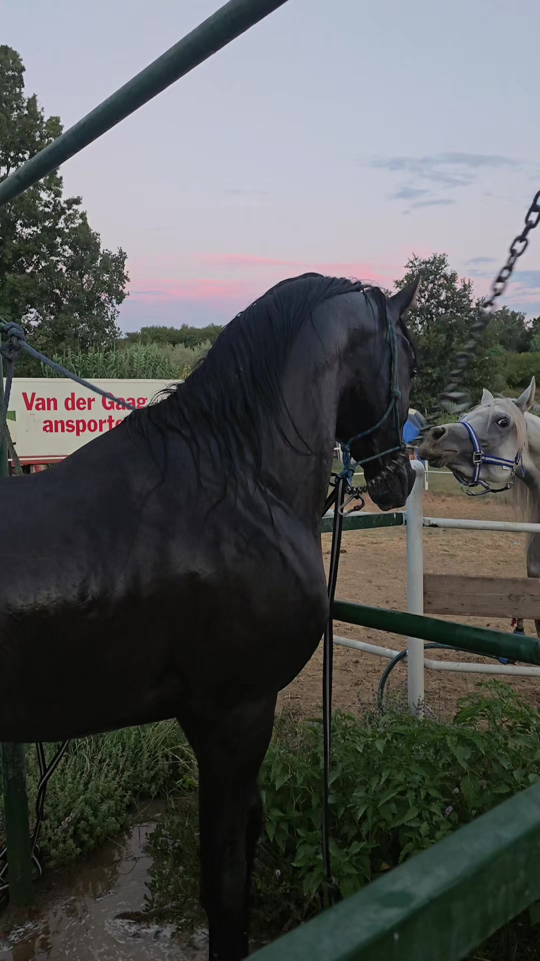 @Horse Training Center Albania