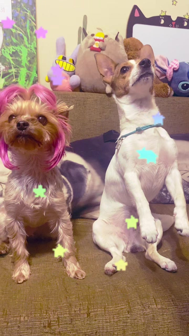 @𝚋𝚞𝚜𝚢𝚊 & 𝚑𝚊𝚙𝚙𝚢