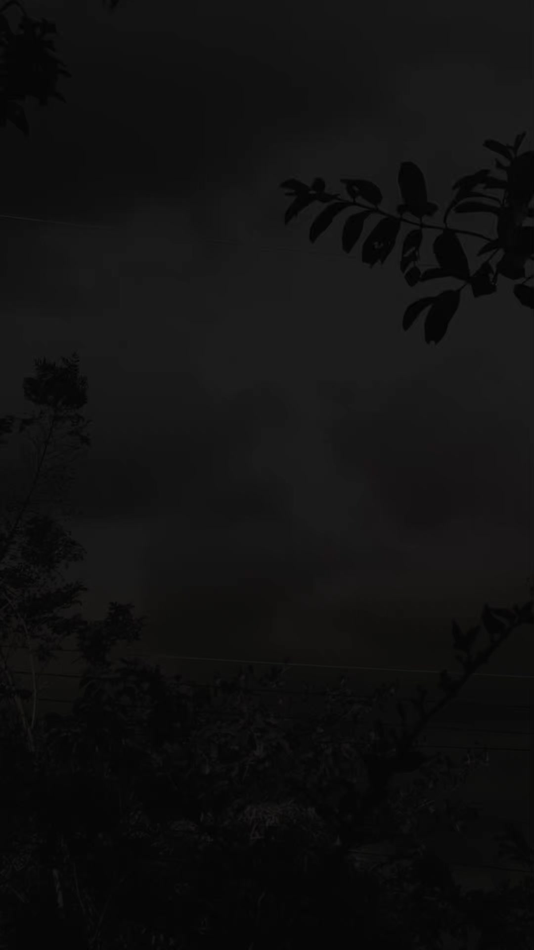 @𝓒𝓱𝓪𝓶𝓪