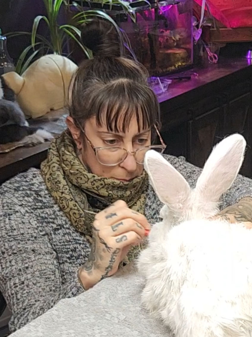 @May Jackalope Taxidermy 🇨🇦