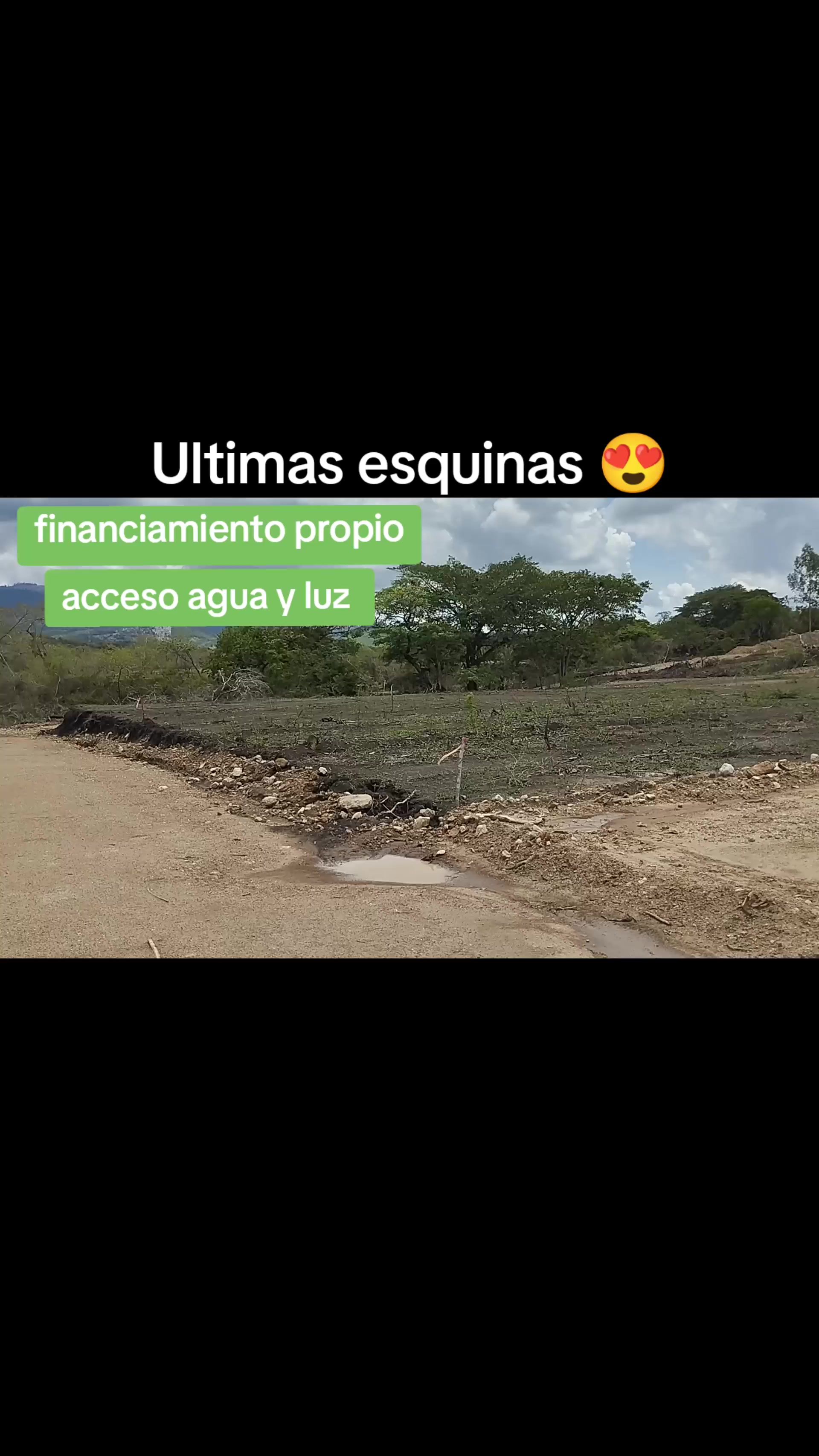 @Mario López asesor