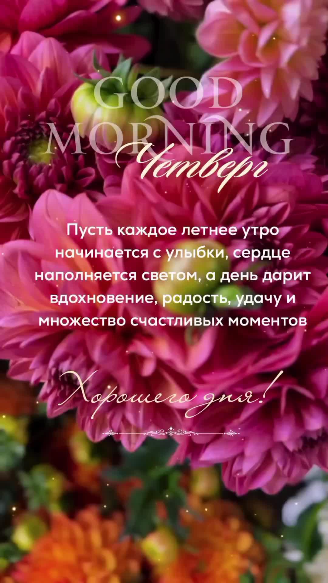 @✨𝐴 𝑔 𝑎 𝑡 𝑎 ꨄ✨💫☕
