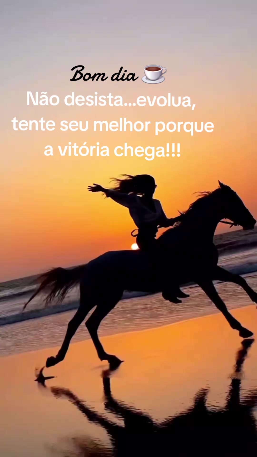 @Elsie aguiar