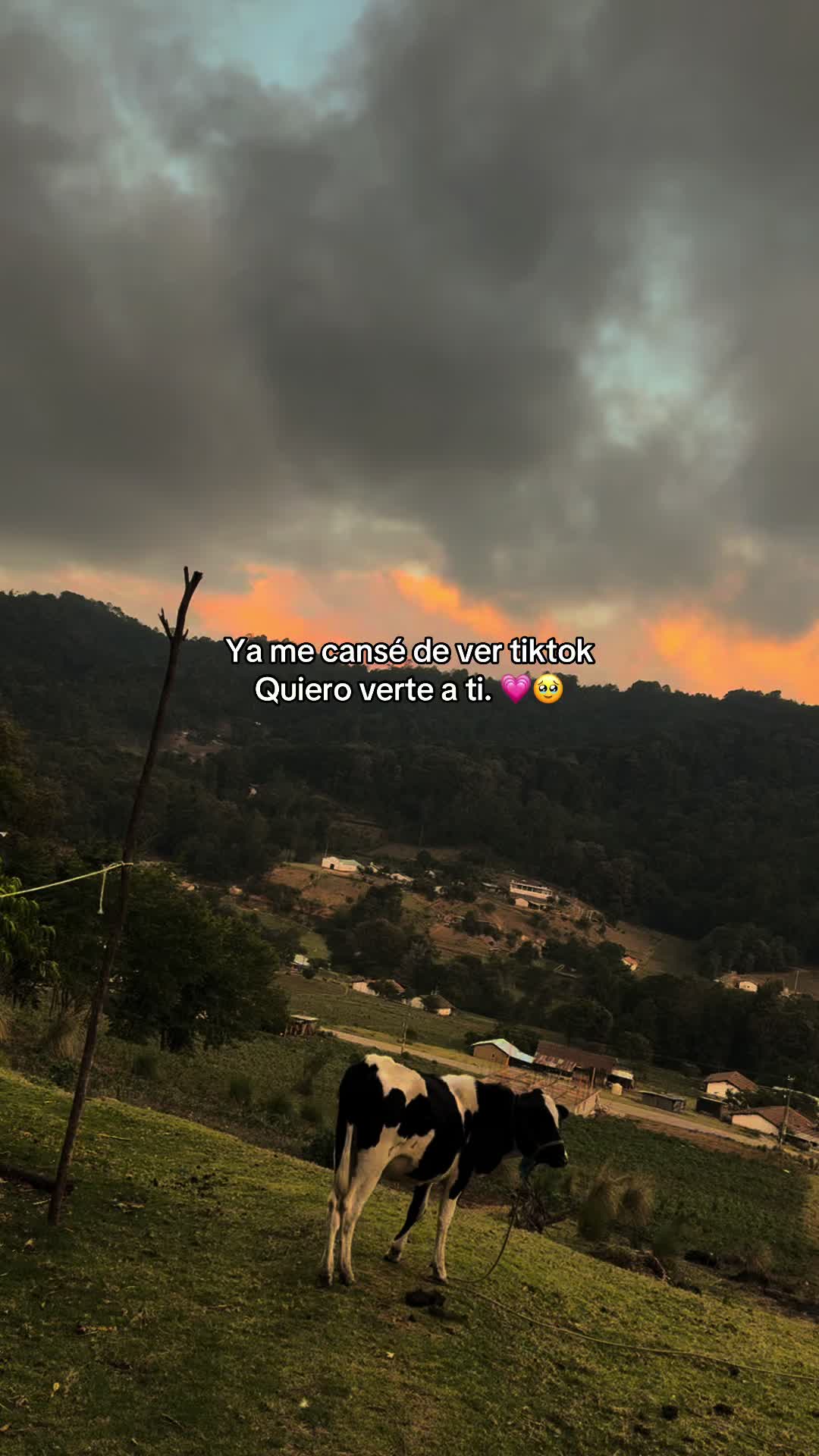 @🪫🪐JulioGt502_.🧃