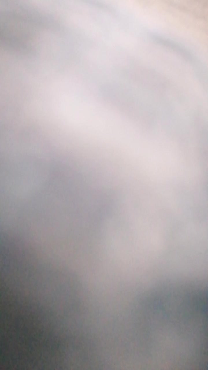 @モンチッチ大好き星人