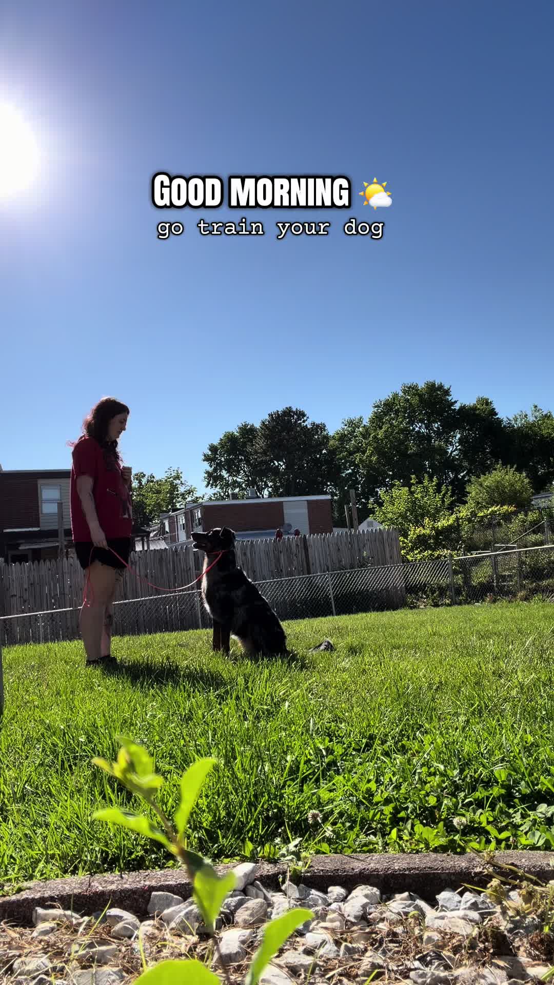 @valkyrie.the.beauceron