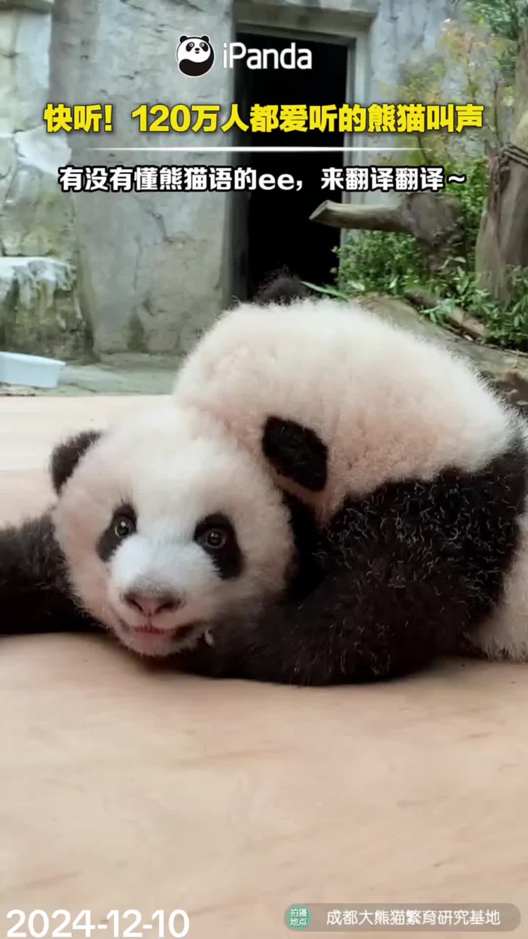 @一生等待