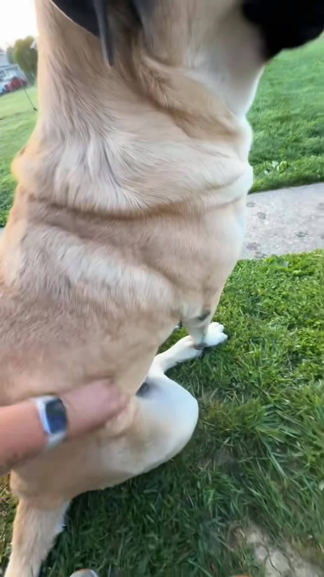 @TvTuppy