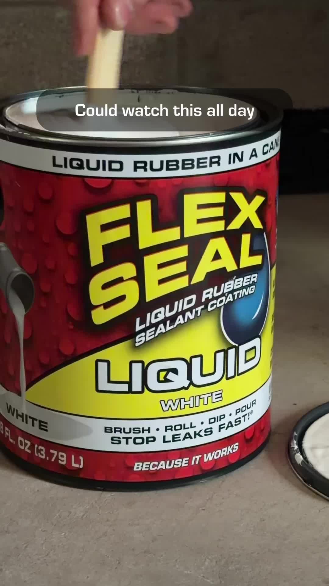@Flex Seal