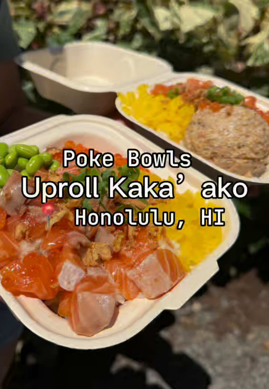 @Oahufood adventure