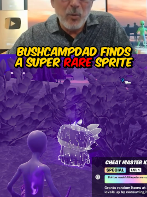 @BushCampDad