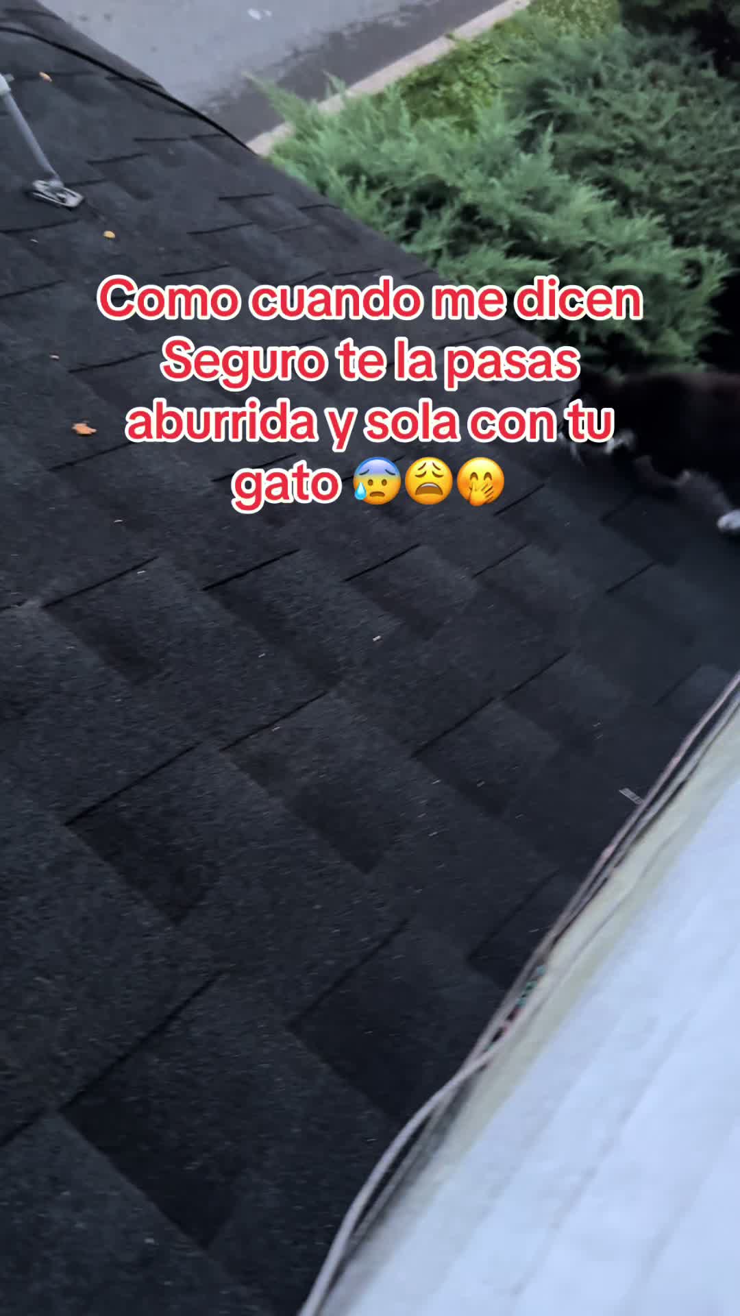@🌸🦋SANDRA🐍🌺