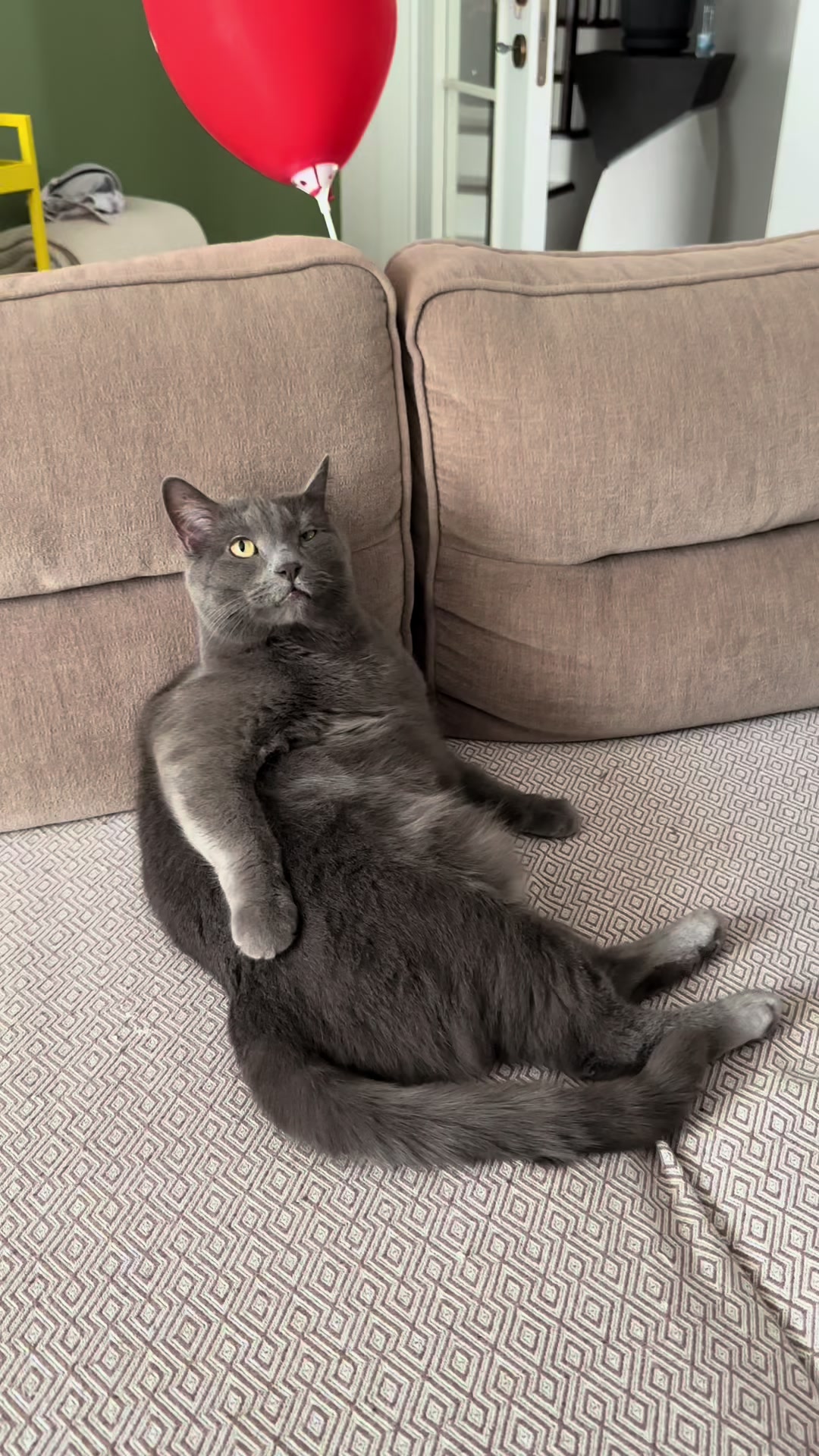 @aslindabenasli