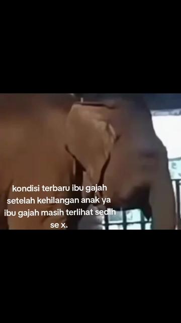 @naura ameliaputri