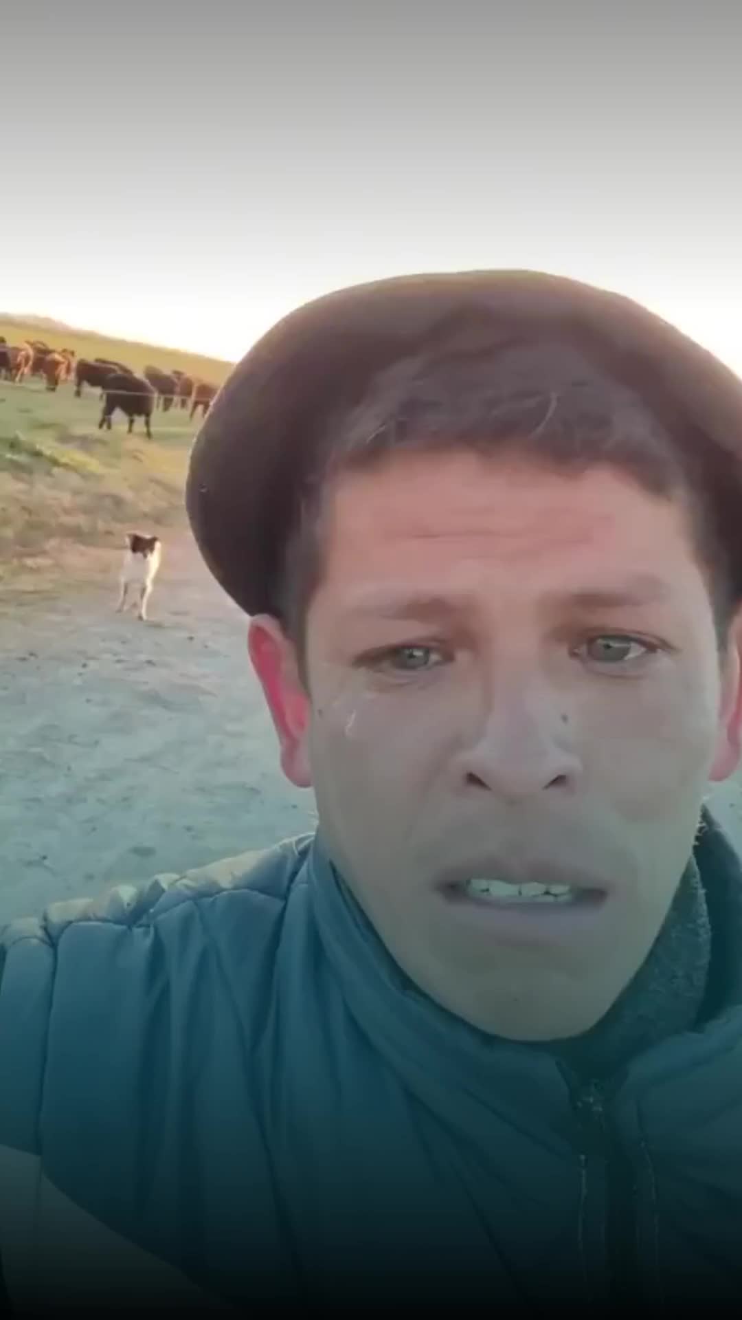 @Entre líneas